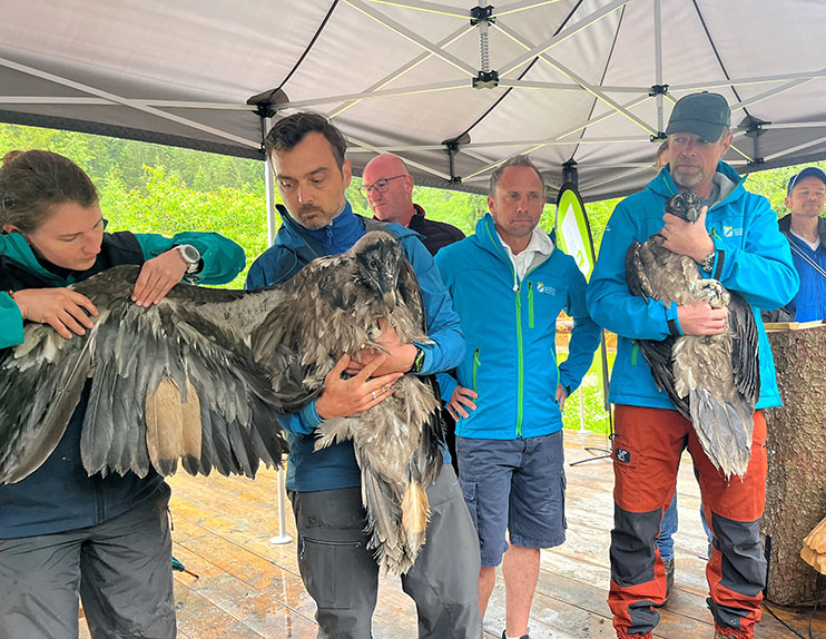 Präsentation der Bleichmuster „Dagmar“ (v. l.): Franziska Lörcher (VCF), David Schuhwerk (LBV), Bernhard Kern (Landrat BGL), Umweltminister Thorsten Glauber und Ulrich Brendel (Nationalpark) mit „Recka“ - © NPV BGD